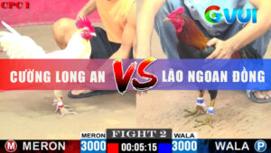 Trận 2 CPC1 3/6/2025 - Lão Ngoan Đồng Tái Xuất Với Mẽ Điều Xanh Hiệu