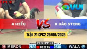 Trận 21 CPC2 25/06/2025 - Anh Hiếu Phục Thù Anh Bảo Sting