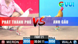 Trận 21 CPC3 9/6/2025 - Bướm Đâm Đúng 1 Cựa Nghiệt Gà Khét Giãy Chết