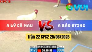 Trận 22 CPC2 25/06/2025 - Anh Lý Cà Mau Vs Anh Bảo Sting