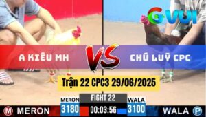 Trận 22 CPC3 29/06/2025 - Anh Kiều Mộc Hoá Vs Chú Luỹ Campuchia