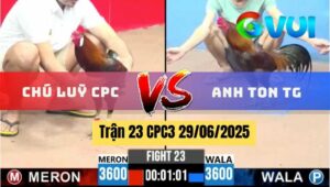 Trận 23 CPC3 29/06/2025 - Gà Chú Luỹ Campuchia Đá Bo Quá Lực