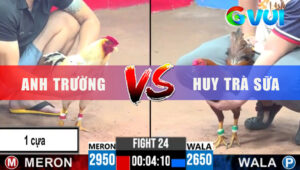 Trận 24 CPC3 7/6/2025 - Hơn 3 Chấm, Gà A.Trường Hòa Vất Vả Trước A.Huy