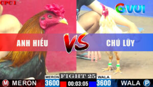 Trận 25 CPC1 7/6/2025 - Bướm Tính Gaking Gặp Điều Quá Đâm Chịu Chết