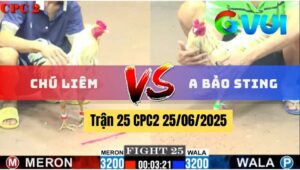 Trận 25 CPC2 25/06/2025 - Gà Anh Bảo Sting Quá Lì Đòn