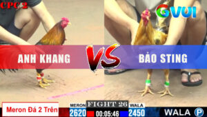 Trận 26 CPC2 1/6/2025 - Điều Nhảy Chân Nào Đâm Chân Đó Bảo Sting Đi Xa