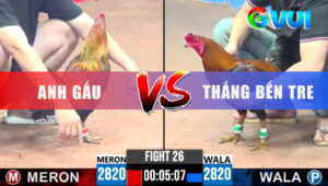 Trận 26 CPC3 8-6-2025 - Gà Xanh Đá Đúng 1 Chân Phân Thắng Bại