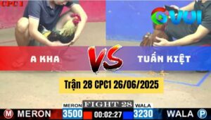 Trận 28 CPC1 26/06/2025 - Gà Anh Tuấn Kiệt Có Pha Lội Ngược Dòng
