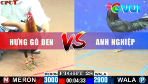 Trận 28 CPC1 9/6/2025 - Điều Anh Hưng 1 Chân Phân Thắng Bại