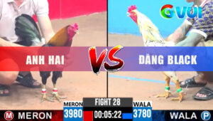 Trận 28 CPC3 6/6/2025 - Điều A.Hai Quá Lỳ Đòn Tiễn Gọn Gàng Bướm Đi Xa