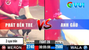 Trận 28 CPC3 9/6/2025 - Điều Đá 2 Cựa Trên Như 2 Cựa Dưới Úa Hư Hình