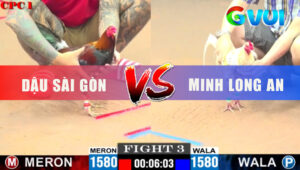 Trận 3 CPC1 2/6/2025 - Bướm Hiệu Má Minh Nạp 1 Chân Về Bờ Hốt Lúa