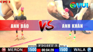Trận 3 CPC1 9/6/2025 - Gà Chuối Anh Bảo Đá Vài Chân Gà Que Cầm Xe