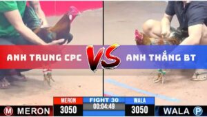 Trận 30 CPC3 11/6/2025 - Anh Thắng Bến Tre Bị Dí Bạc Ăn 5 Vẫn Lật Kèo