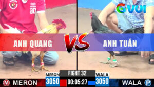 Trận 32 CPC3 9/6/2025 - Gà Xanh Anh Tuấn Gồng Hòa Đẳng Cấp