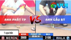 Trận 35 CPC3 11/6/2025 - Phát Thành Phố Và Gấu Bến Tre, Xổ 500 Triệu