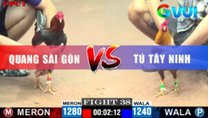 Trận 38 CPC1 9/6/2025 - Khét Anh Tú Đá Quá Hay Điều Không Có Cửa