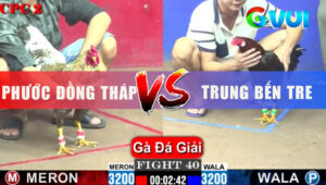 Trận 40 Giải CPC2 1/6/2025 - Điều Anh Trung Đúng 1 Chân Hạ Đẹp Gà Cú