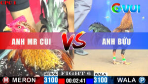 Trận 6 CPC1 7/6/2025 - Điều Bông Đá Như Vũ Bảo Về Bờ Chưa Đầy 1 Phút