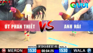 Trận 6 CPC1 9/6/2025 - Gà Xanh Anh Hải Hòa May Mắn Trước Gà Đỏ