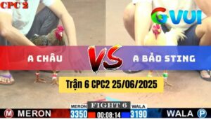 Trận 6 CPC2 25/06/2025 - Gà Bảo Sting Gồng Tang Tới Phút Cuối