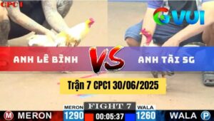 Trận 7 CPC1 30/06/2025 - Gà Anh Tài Sài Gòn Phản Đòn Thắng Ngược