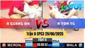 Trận 8 CPC3 29/06/2025 - Giang Đức Hoà Đối Đầu Ton Tiền Giang, Xổ 100Tr