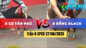 Trận 8 CPC5 27/06/2025 - Anh Cơ Tân Phú Vs Anh Đăng Black