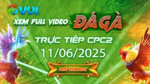 Xem full video đá gà trực tiếp CPC2 ngày 11-06-2025