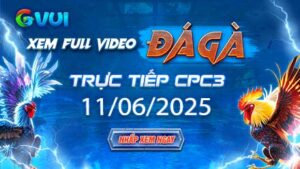 Xem full video đá gà trực tiếp CPC3 ngày 11-06-2025