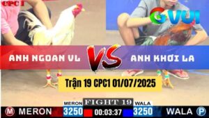 Trận 19 CPC1 01072025 - Anh Ngoan Vĩnh Long Vs Anh Khởi Long An