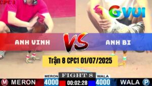 Trận 8 CPC1 01072025 - Gà Xám Anh Bi Canh Nạp Đúng 1 Chân Cựa