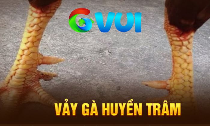 Vảy Huyền Trâm